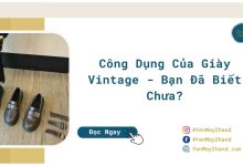 ảnh đại diện của bài viết công dụng của giày vintage