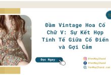 ảnh đại diện của đầm vintage hoa cổ chữ v