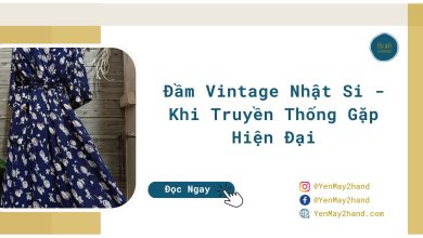 ảnh đại diện của đầm vintage nhật si