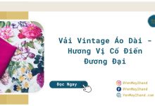 ảnh đại diện của vải vintage áo dài