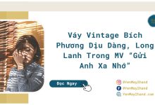 ảnh đại diện của váy vintage Bích Phương