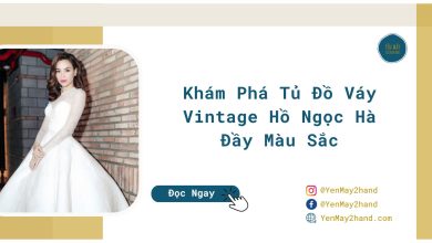 ảnh đại diện của váy vintage hồ ngọc hà