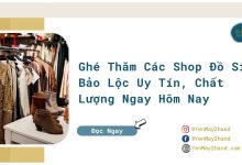 ảnh đại diện của đồ si bảo lộc