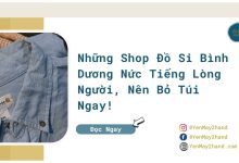 ảnh đại diện của bài viết đồ si Bình Dương